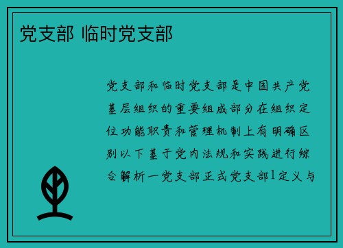 党支部 临时党支部